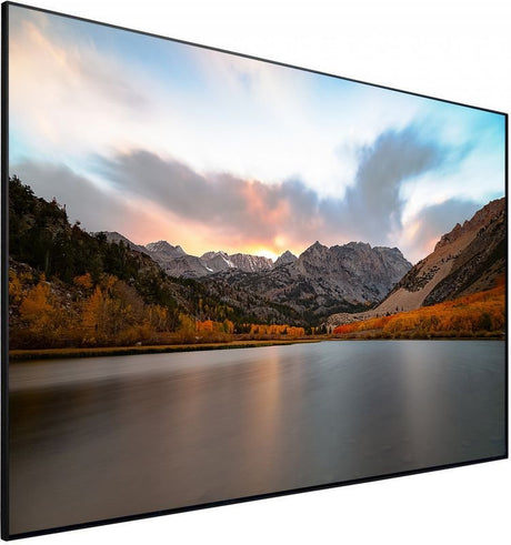 Projector Screen